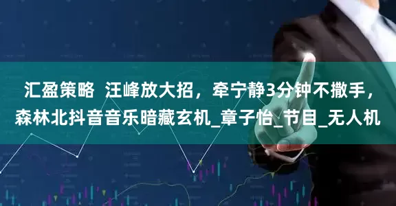 汇盈策略  汪峰放大招，牵宁静3分钟不撒手，森林北抖音音乐暗藏玄机_章子怡_节目_无人机