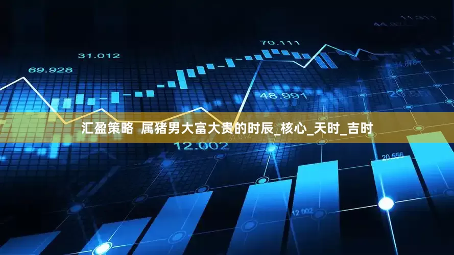 汇盈策略  属猪男大富大贵的时辰_核心_天时_吉时