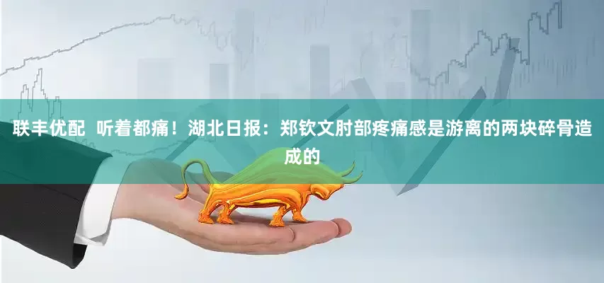 联丰优配  听着都痛！湖北日报：郑钦文肘部疼痛感是游离的两块碎骨造成的