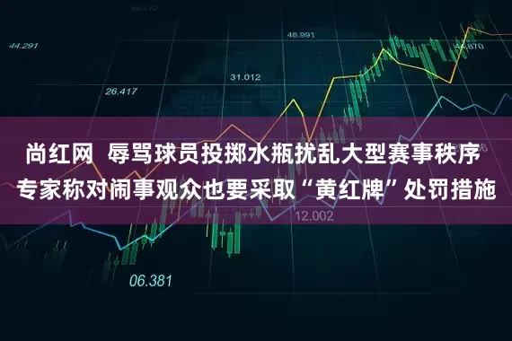 尚红网  辱骂球员投掷水瓶扰乱大型赛事秩序 专家称对闹事观众也要采取“黄红牌”处罚措施