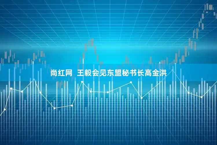 尚红网  王毅会见东盟秘书长高金洪