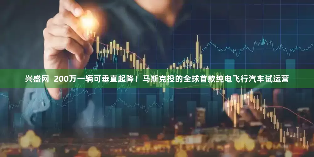 兴盛网  200万一辆可垂直起降！马斯克投的全球首款纯电飞行汽车试运营