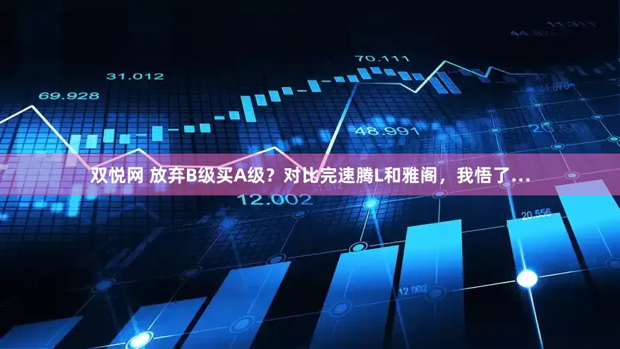 双悦网 放弃B级买A级？对比完速腾L和雅阁，我悟了…