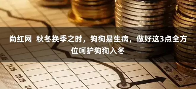 尚红网  秋冬换季之时，狗狗易生病，做好这3点全方位呵护狗狗入冬