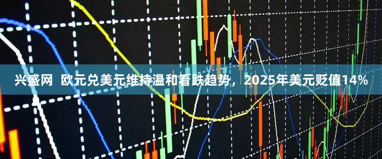 兴盛网  欧元兑美元维持温和看跌趋势，2025年美元贬值14%