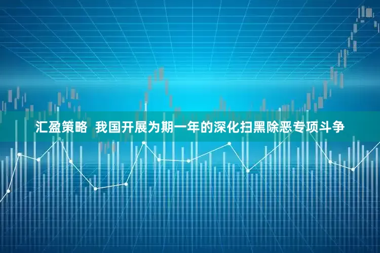 汇盈策略  我国开展为期一年的深化扫黑除恶专项斗争